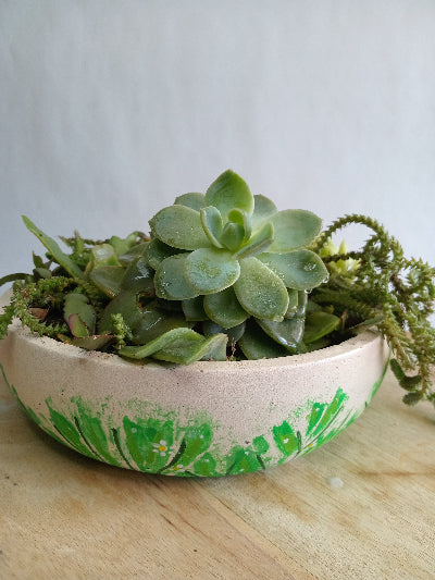 Beige concrete bowl with an arrangement of succulents inside, on a wooden surface.