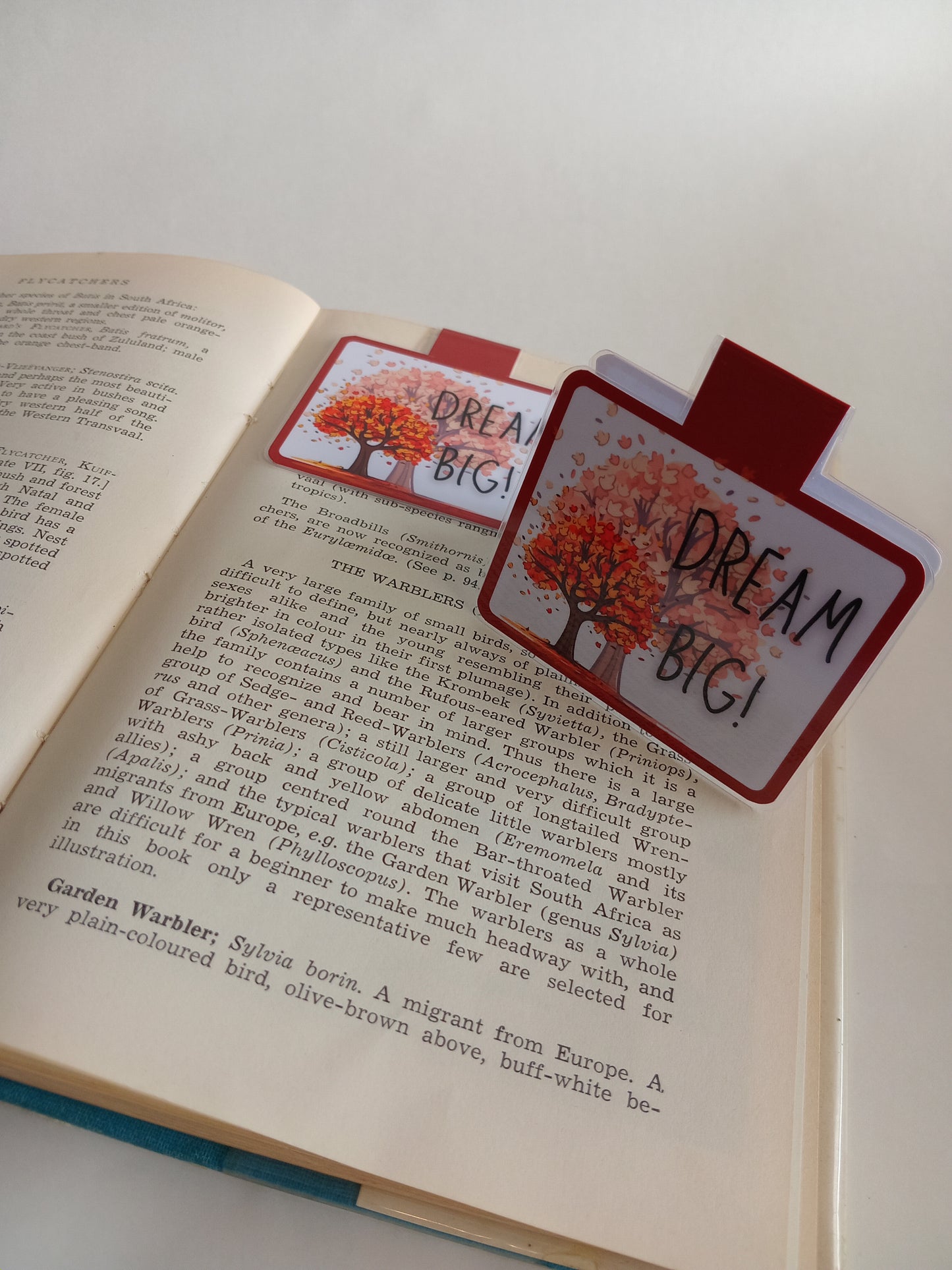 Magnetic Bookmarks
