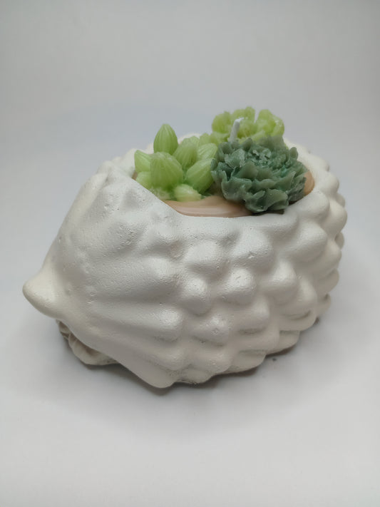 Miniature Hedgehog Planter
