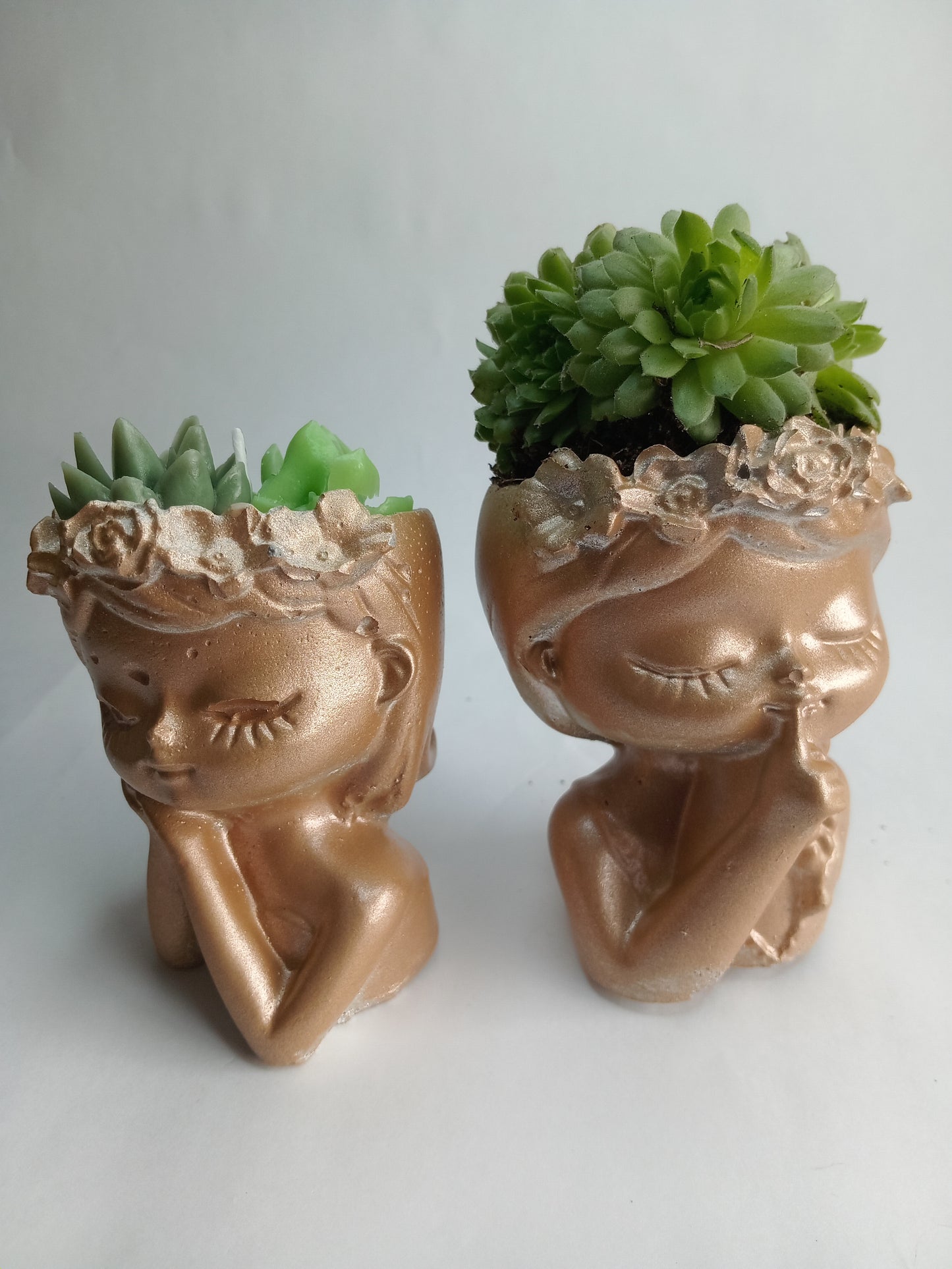 Miniature Princess Planters